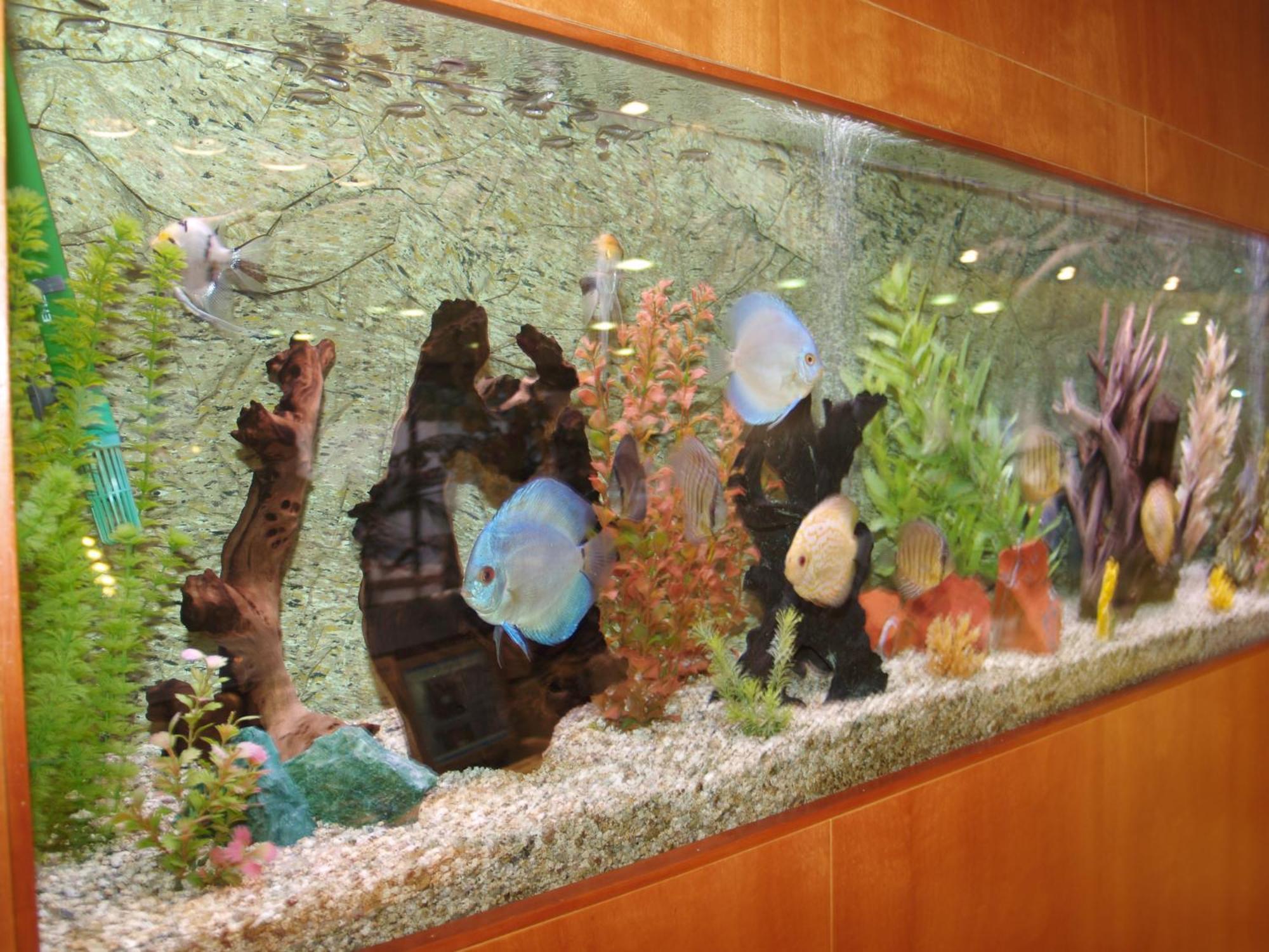 Hotel Montemar Maritim